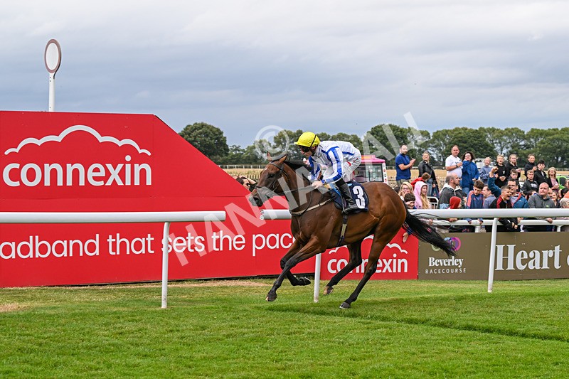 150824-Race 3-Go On Rosie-7876 - Race 3