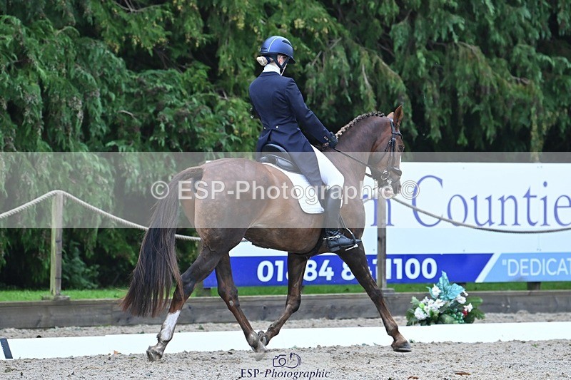231019-113825-02198 - 110-MARTINS.IRISH.EDDIE-Allegra.Cowley-DR