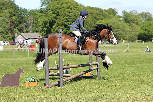 IMG_4055 - Working Hunter