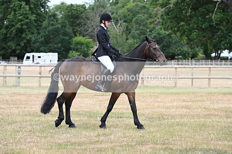 WJ6_4106 - Class 9 Tack & Turnout