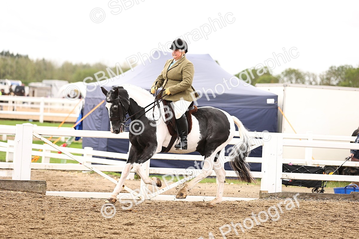 SBM_01373 - Class 54 - Riding Club Horse Pony