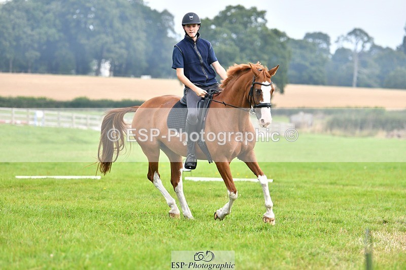 230817-091924-02532 - Abbie's 1st Group - Dressage