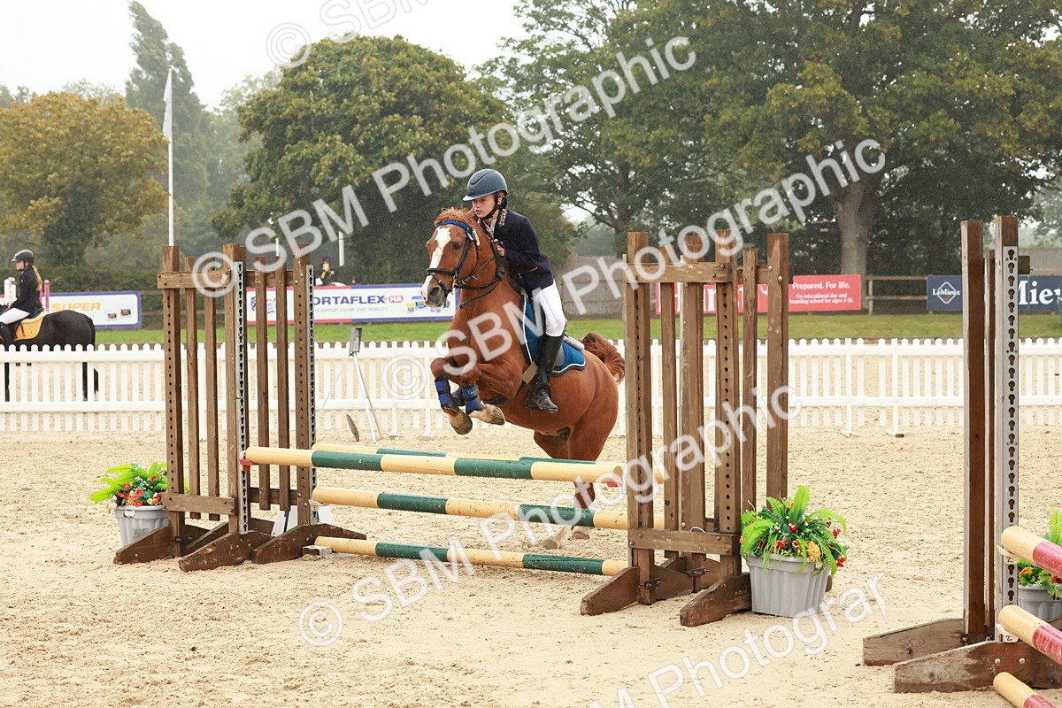 SBM_73347 - Supreme Championship Junior Pony 60cm & 65cm