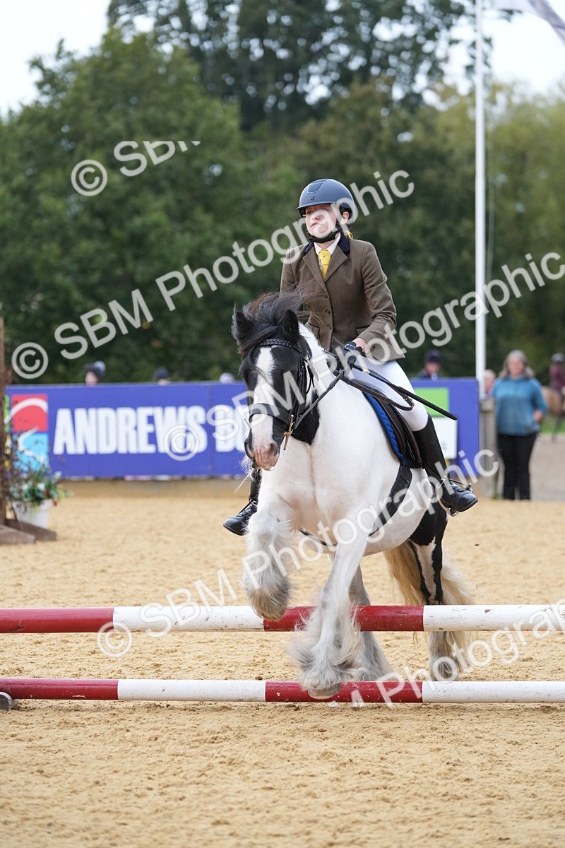 SBM_74864 - J4 - Mini Tour Junior Pony 45cm Championship