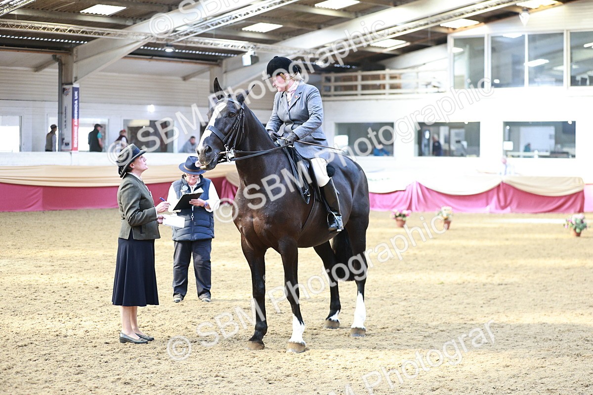 SBM_08300 - Class 11R - Regional Ridden Veteran