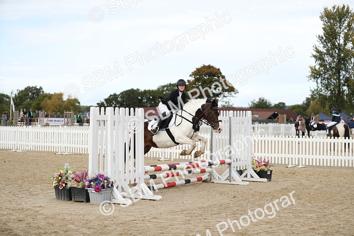 SBM_40806 - Supreme Championship 50cm 60cm
