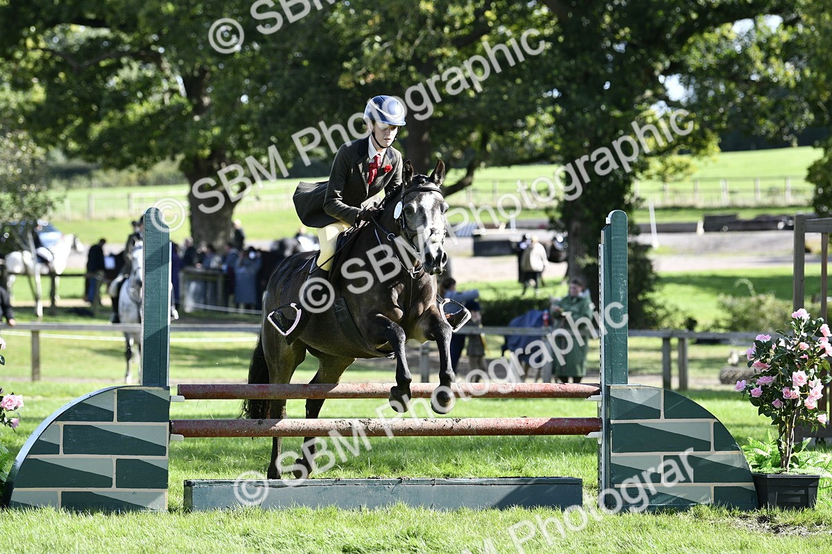 SBM_49996 - S34 - Novice & Newcomers Working Hunter
