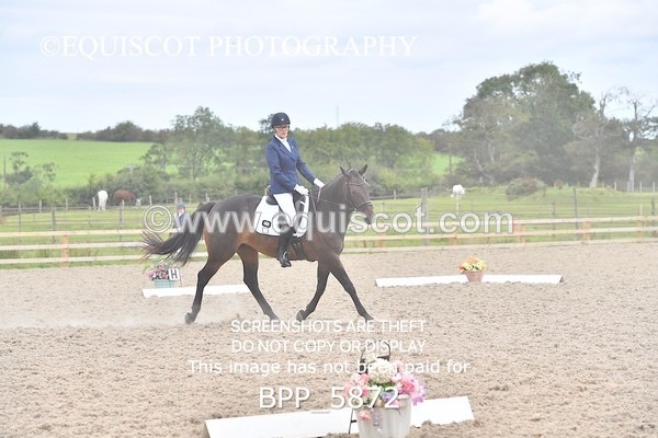 BPP_5872 - PRELIM TEST 5 LONG ARENA