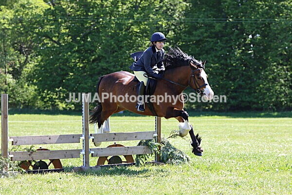 IMG_4076 - Working Hunter