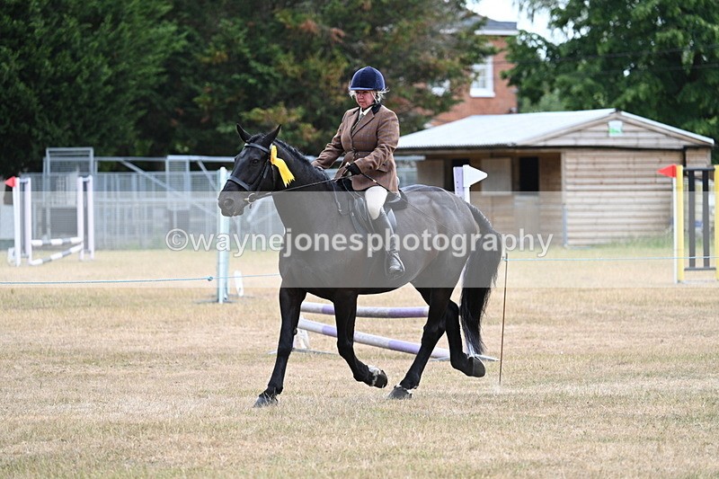 WJ7_1550 - Class 8 Ridden Veterans