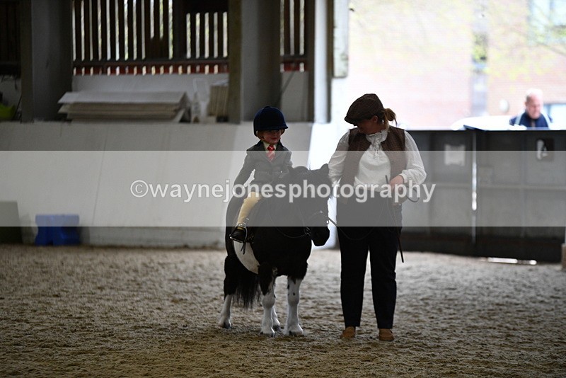 WJ5_6675 - Class 10 Childs Pony