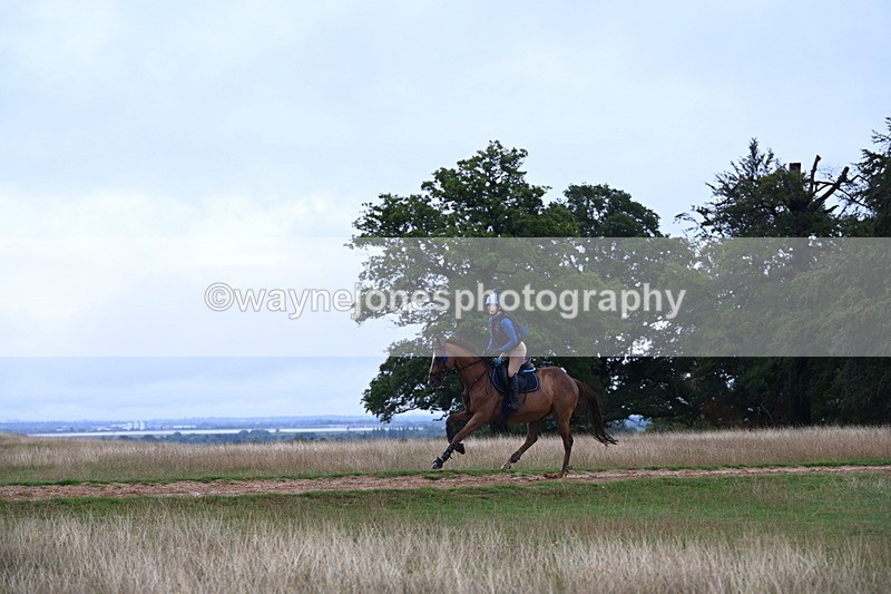 DSC_3819 - Time at Statue 13:51 to 14:55