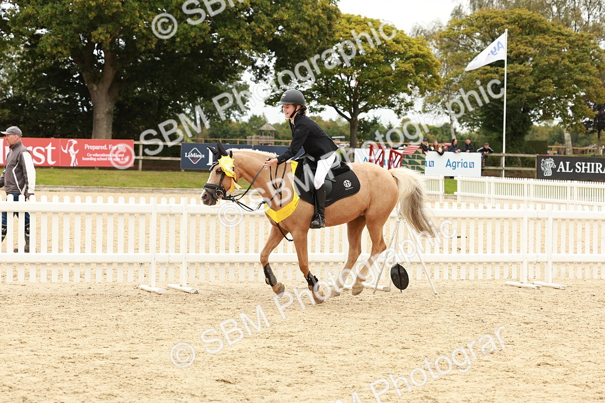 SBM_63929 - J12 - Junior Pony 55cm Championship