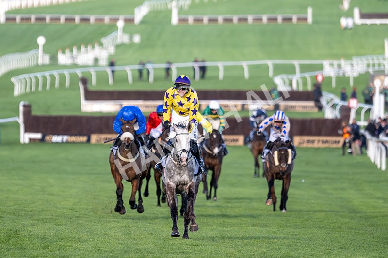 110326-Race 5-Il Etait Temps-3415 - 11th March