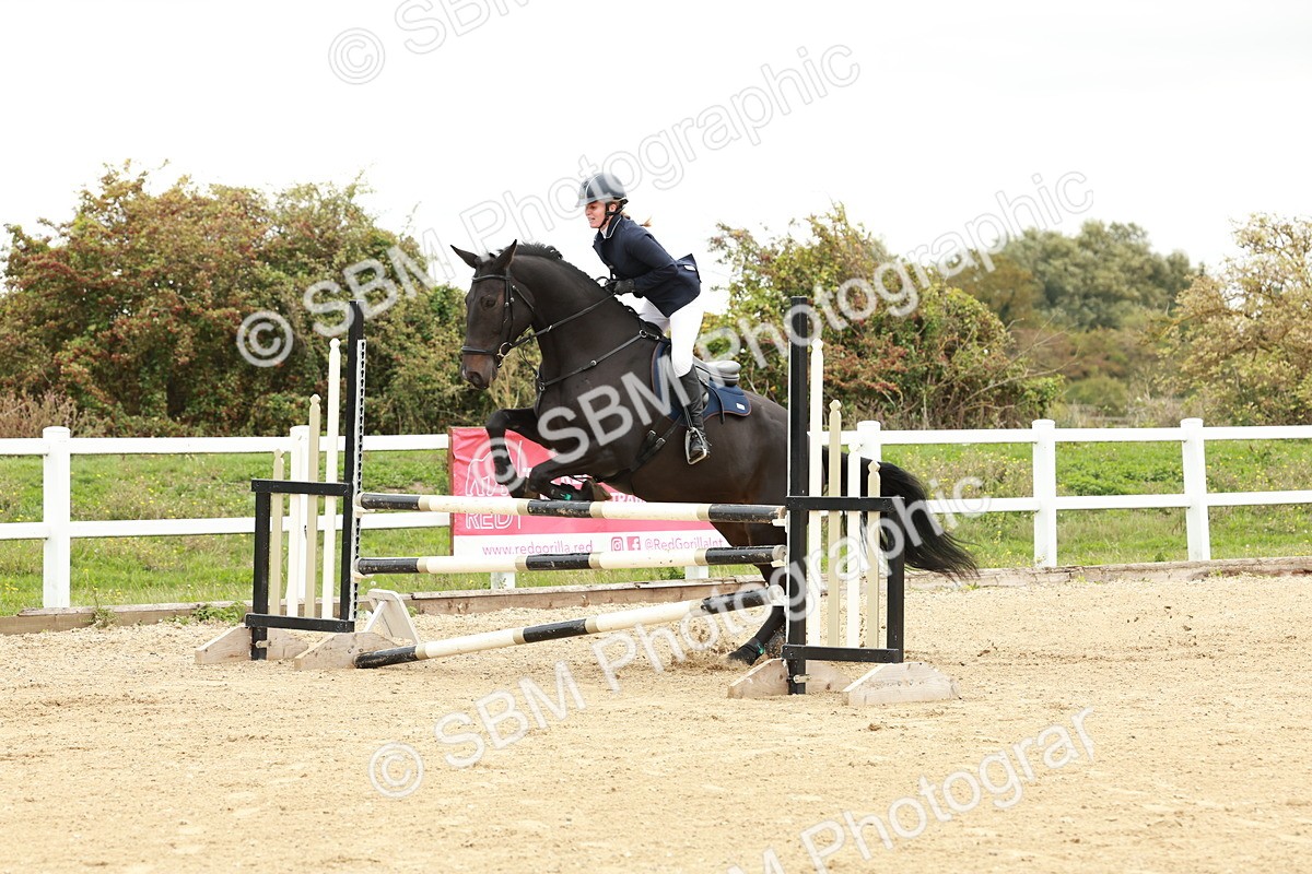 1I0A6906 - Class 2 - Senior British Novice