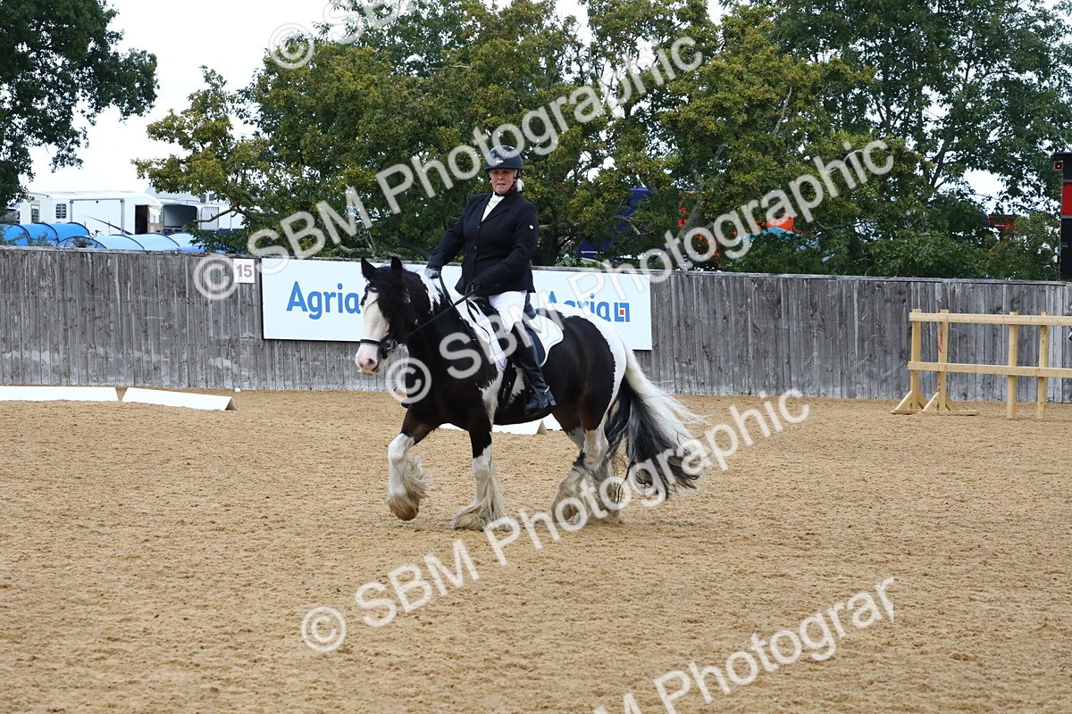 SBM_21032 - D5 - Small Tour Championshop Intro 2