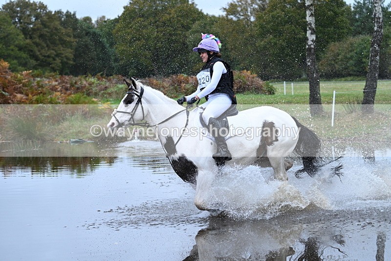 WJ7_2941 - 90cm Cam 2 Water Time 13:29 to 13:47