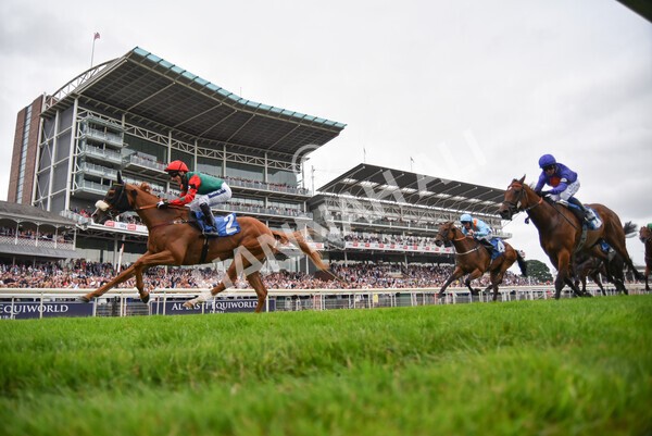 yr24072021r7-60 - Race 7 5.35pm The Sporting Life Fast Results Stakes