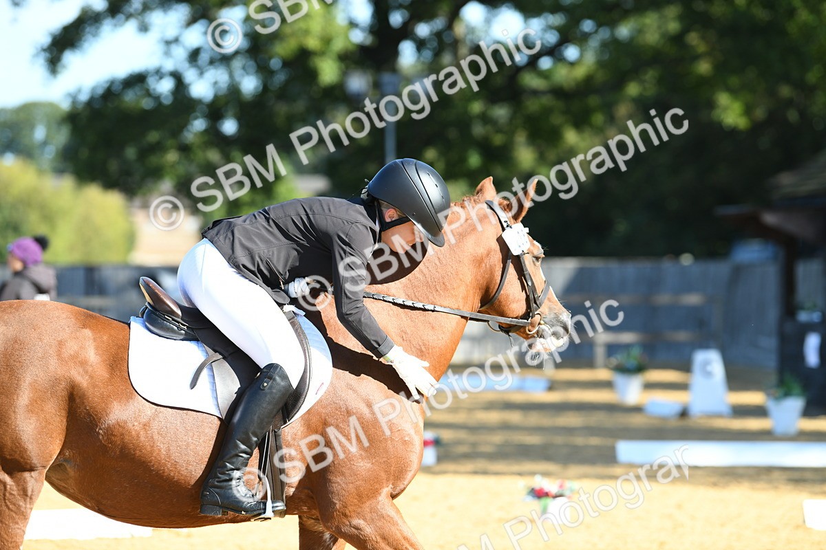 SBM_18050 - D4 - Small Tour Championship - Intro B