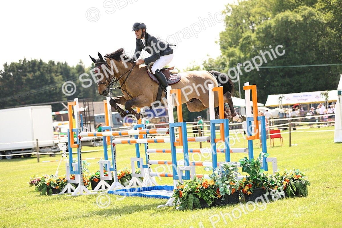 SBM_03253 - Class 201 - British Horse Feedds Speedi Beet HOYS Grade C