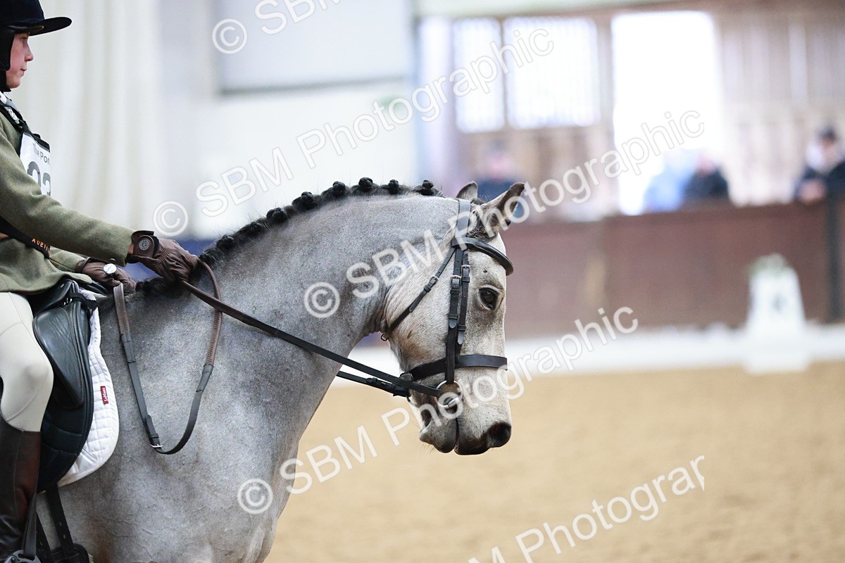 SBM_003778 - Class 2 - Novice 2020