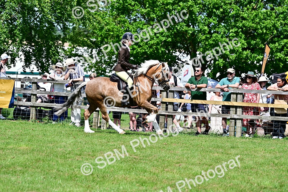 SBM_07899