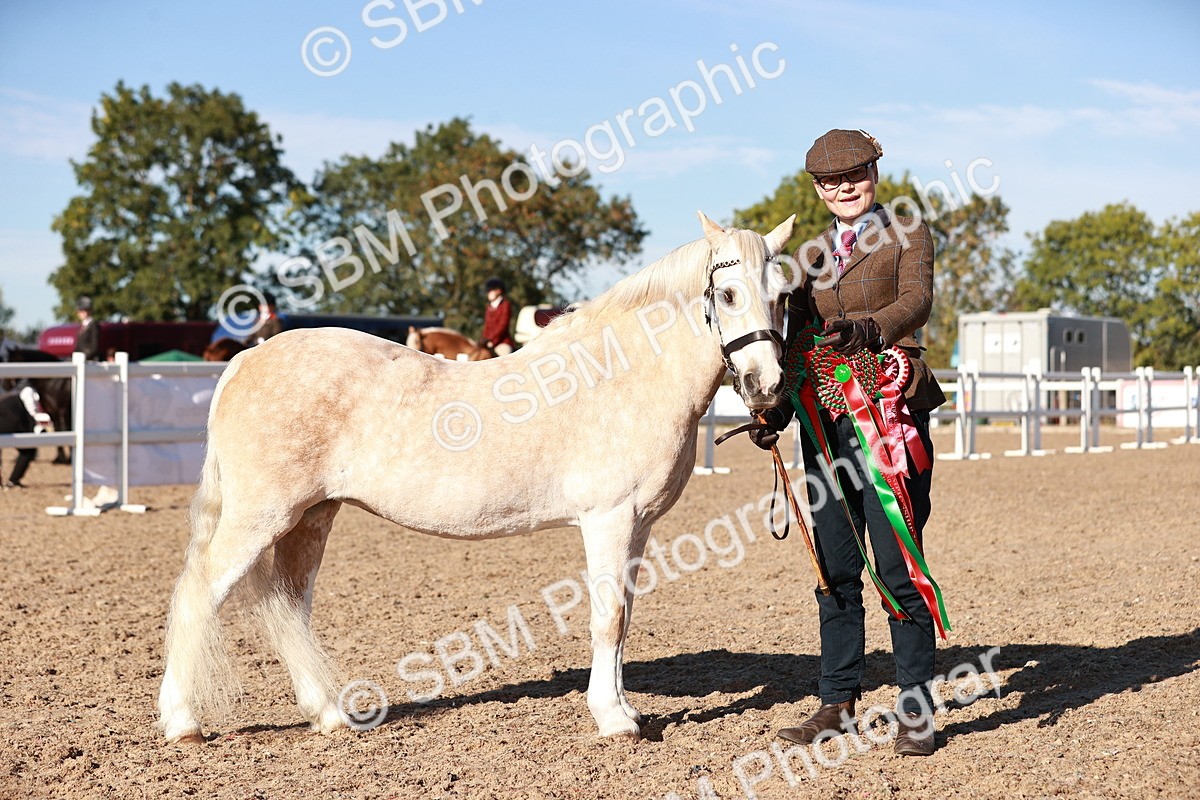 SBM_11459 - Class 402 - IH  Veteran pony