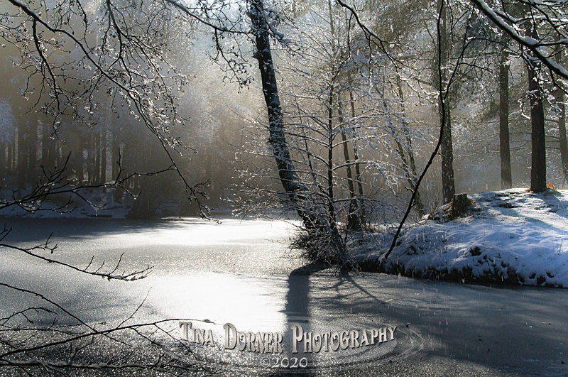 Old Snow, Brierley