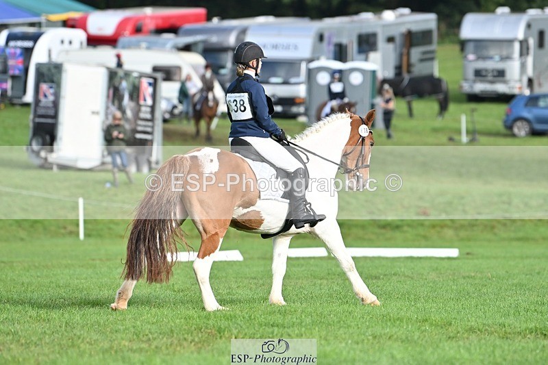 231020-102758-07628 - 638-I.FOUND.NEMO-Jacky.Jones-DR