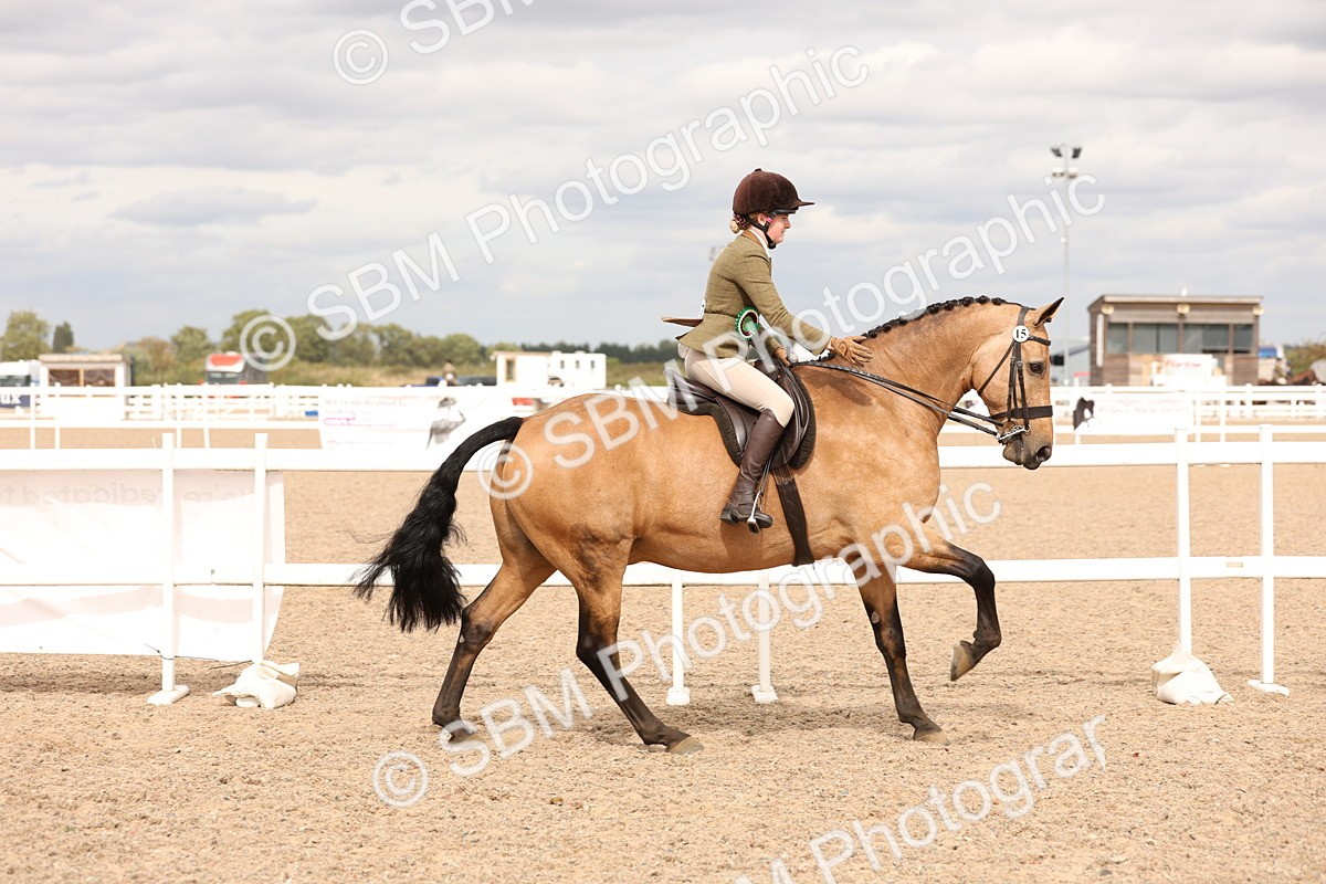 SBM_17291 - Class 213 - Ridden Hunter - Large