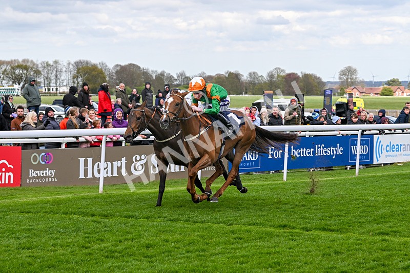 160425-Race 4-Wilhelmina-3090 - Race 4