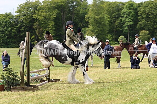 IMG_3150 - Working Hunter