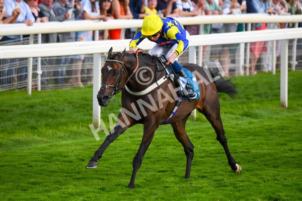 260823-Race 7-Astro King-1067 - Race 7 Sky Bet Finale Handicap at York