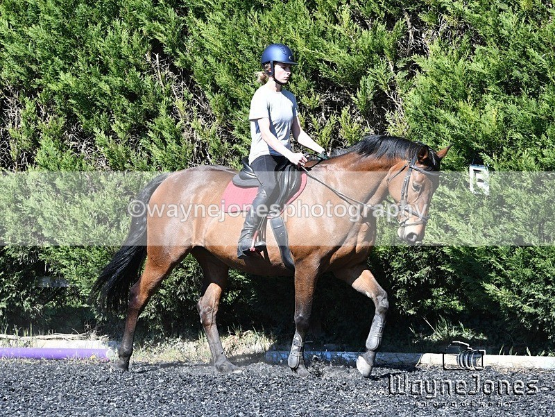 WJ5_1235 - Kelly Harris - Franklin balls, training at Tanners 05-04-25