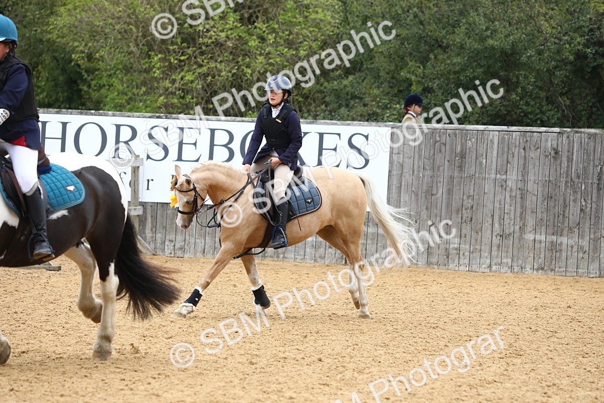 SBM_60209 - J63 - Junior Pony 50cm Championship