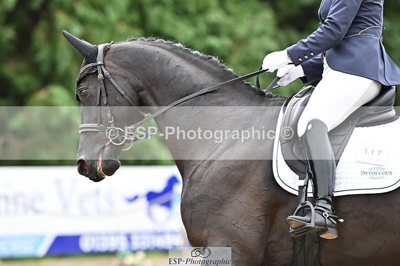 240811-100448-04668 - 117-Katie.Kneen-Springtime.Everafter