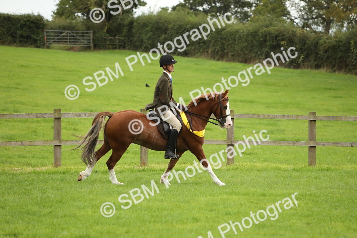 SBM_73880 - S41 - Ridden Equitation (Best Rider)