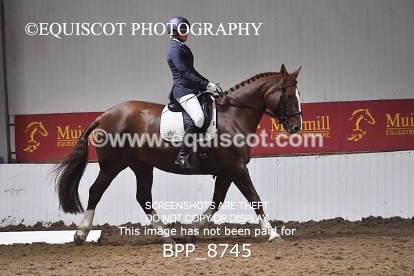 BPP_8745 - NOVICE 6 BD