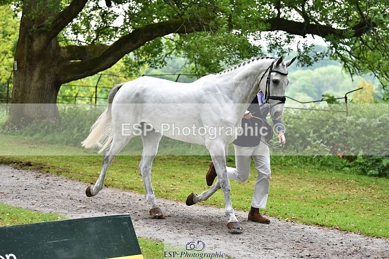 240522-165810-01290 - 230-MISTY_LIBERTY_LANE-Jesse_Campbell