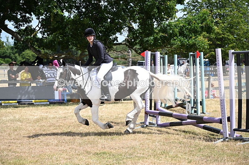 WJ6_5450 - Class 12 Minimus Jumping 45cm