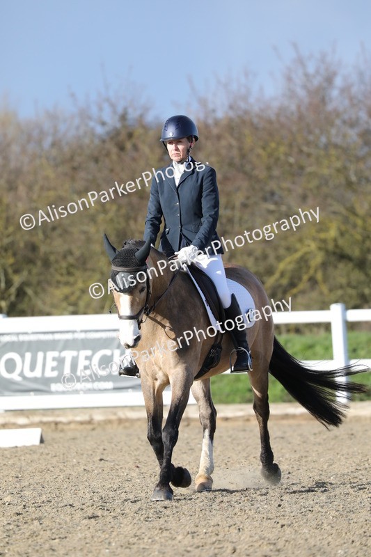 20260314-5859 - DR8 - Elementary 2