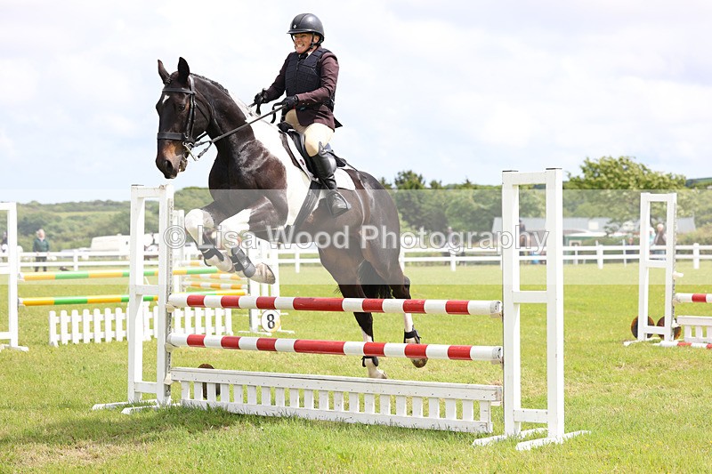 3E7A7663 - Class 13: Senior British Novice/90cm open