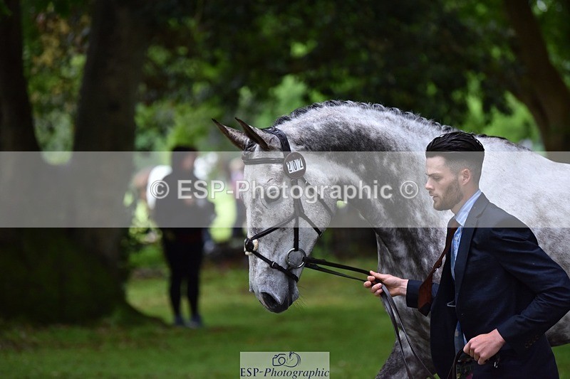 240522-162506-00900 - 202-WHIXLEY_QUALITAS-Barnie_Brotherton