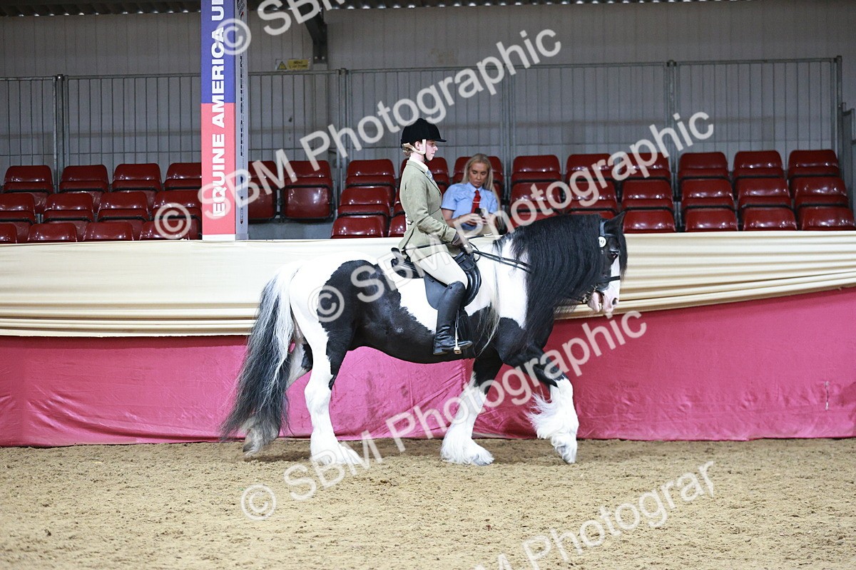 SBM_08725 - Class 12R - Regional Ridden Pre-Vet