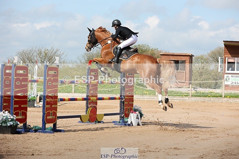 250427-104647-15603 - Cls 36 Young Horse 7yr old