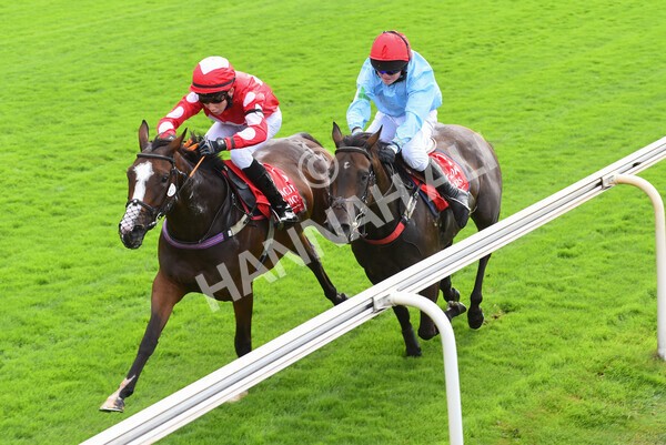 yr04092022p1-55 - 12.30pm 148cm Conditions Pony Race