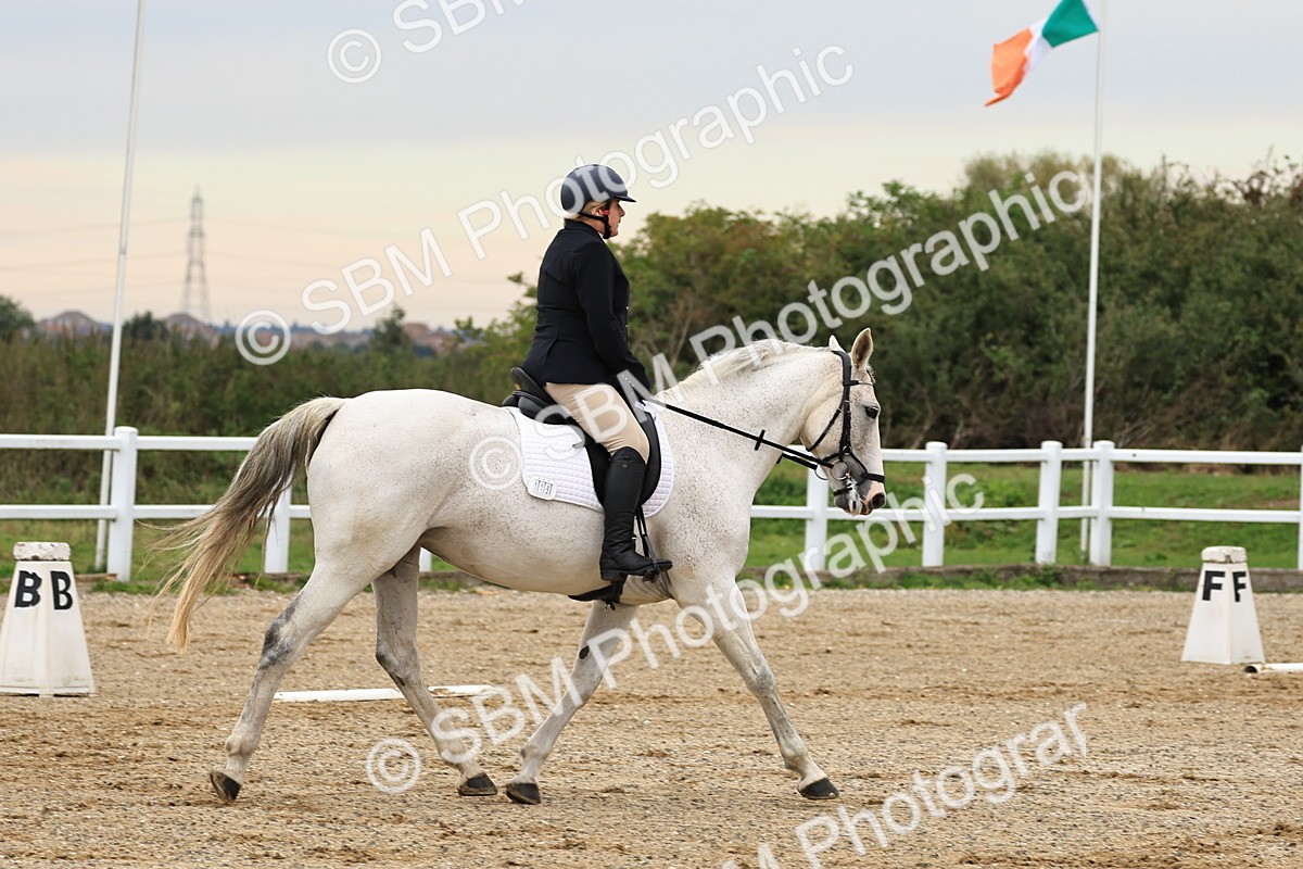 SBM_000228 - Prelim 2