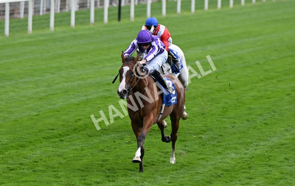210825-104 Minnie Hauk - Race 4 3.35pm Pertemps Network Yorkshire Oaks