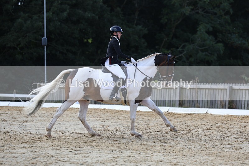 3E7A4162 - Class 9: Novice 6 Section B Championship