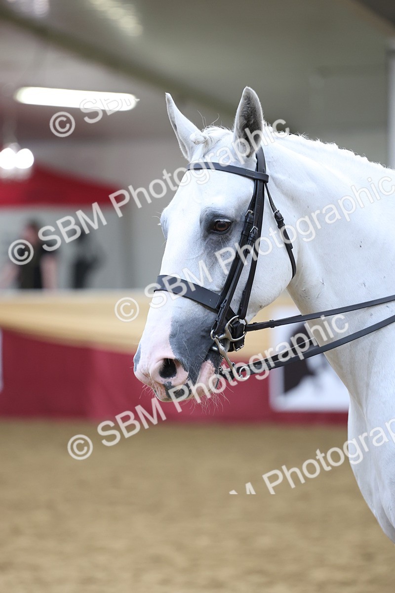 SBM_23667 - class 906 - Supreme Final - Ridden Pre Vet